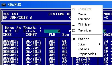 tela sia clique botão direito.JPG