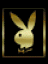 Avatar do usuário